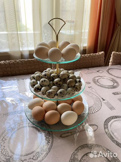 Яйца цесариные,куриные,перепелиные столовые