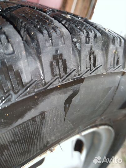 Bridgestone Ice Cruiser 7000S 175/70 R13