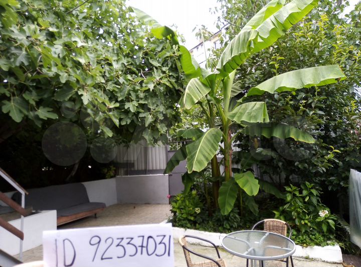 Дом 45 м² на участке 2 сот.