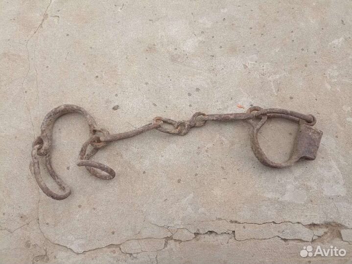 Кондалы Человеческие