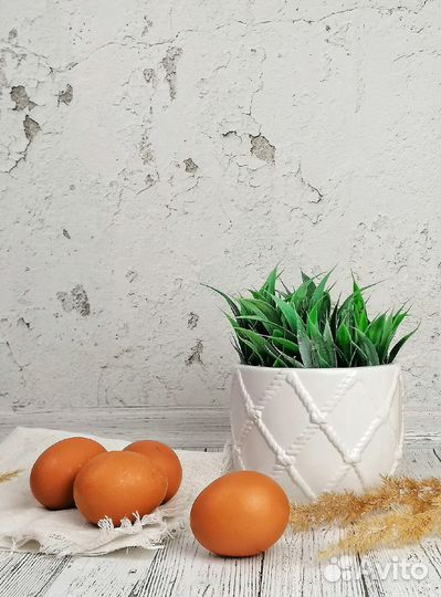 Фотофон для предметной съемки аренда