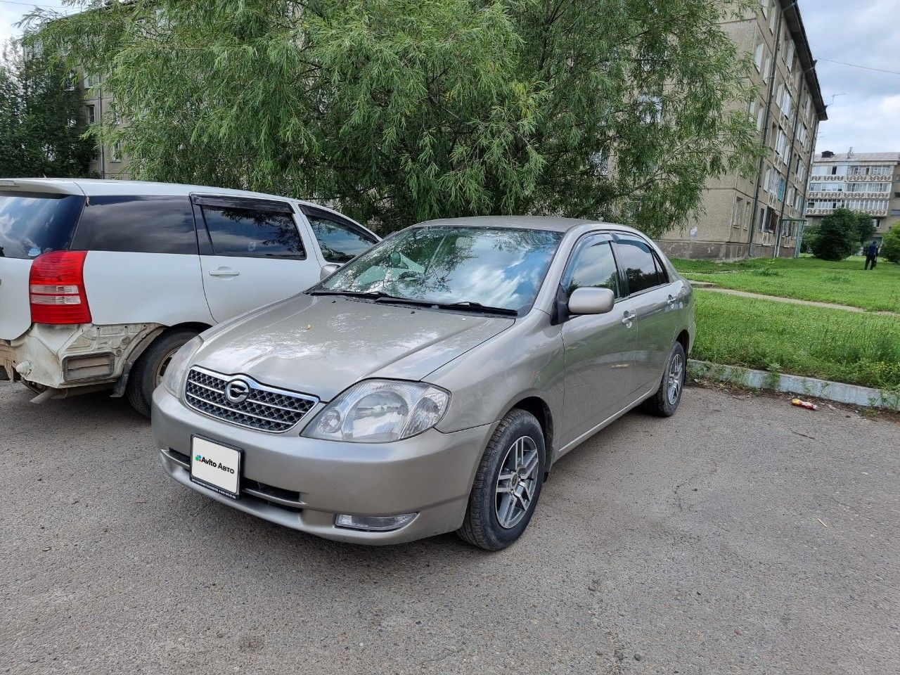 Toyota Corolla: фото владельца