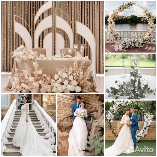 Фотограф+Видеограф+Декор Зала Выездная Регистрация