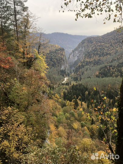 Индивидуальные экскурсии в абхазию
