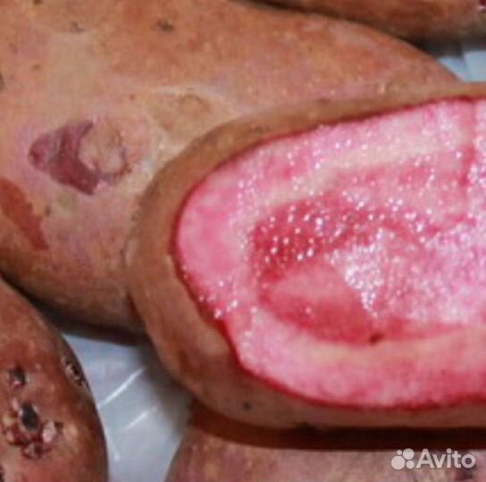 Картофель с красной мякотью : роземария, клюква