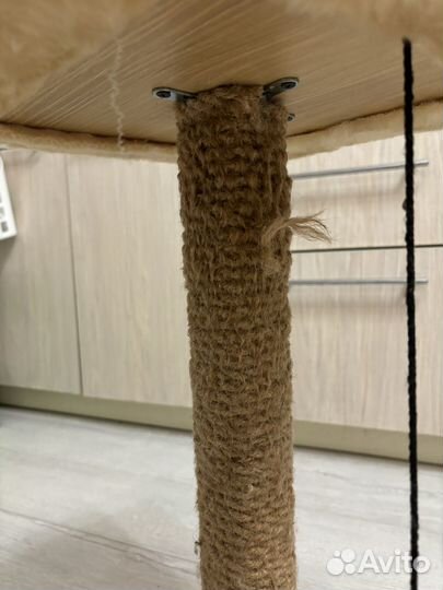 Когтеточка для кошек