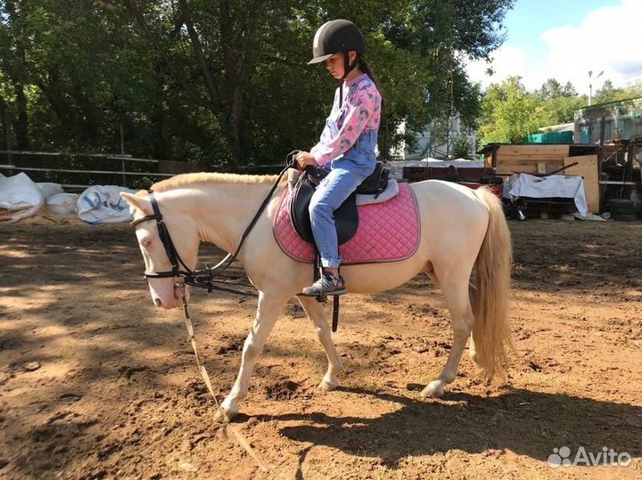 Обучение с нуля