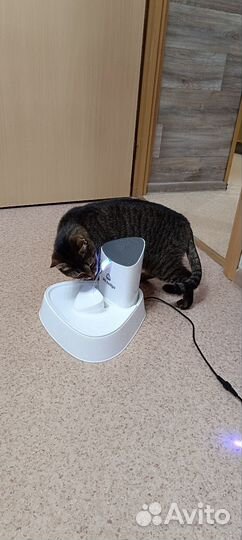 Фонтан поилка для кошек