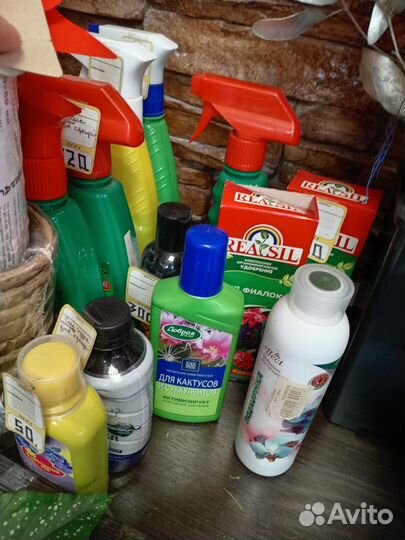 Удобрение, подкормка для цветов и растений