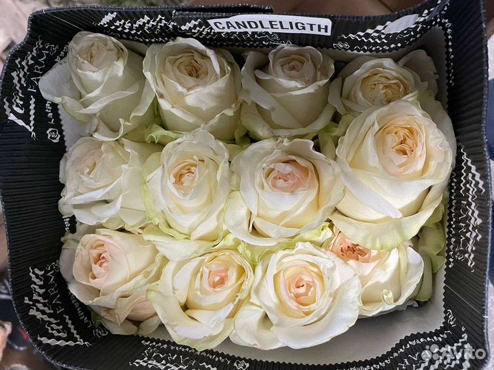 Прямые поставки от теплицы. Роза На выбор от 15 шт