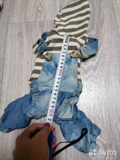 Костюмчик для собак