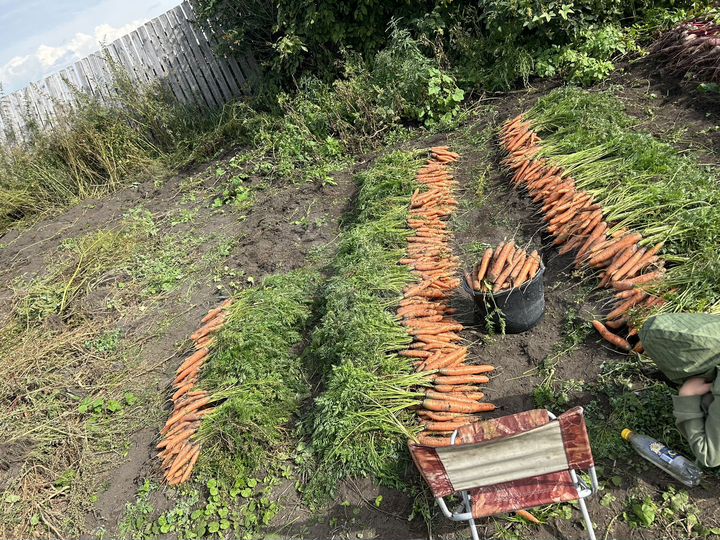 Участок 18 сот. (ИЖС)