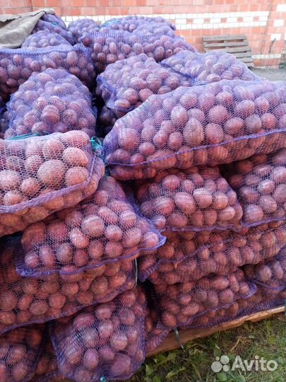 Продаю картофель