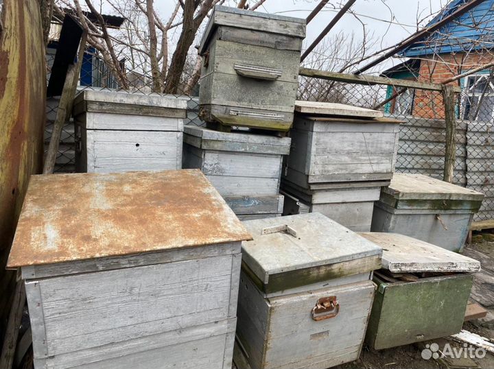 Улей для пчел