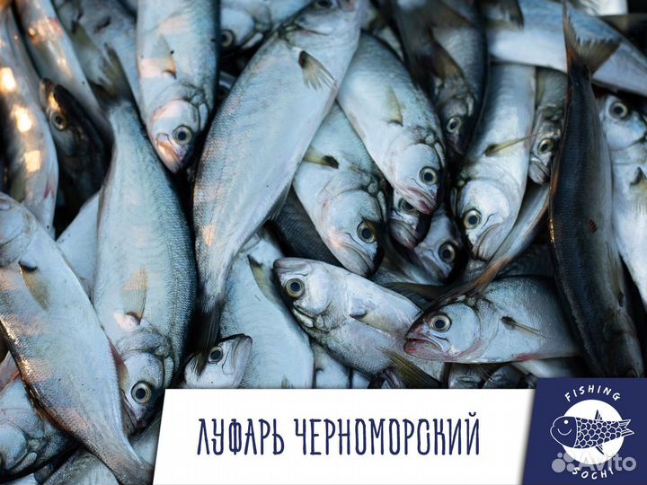 Краб стригун (конечности)