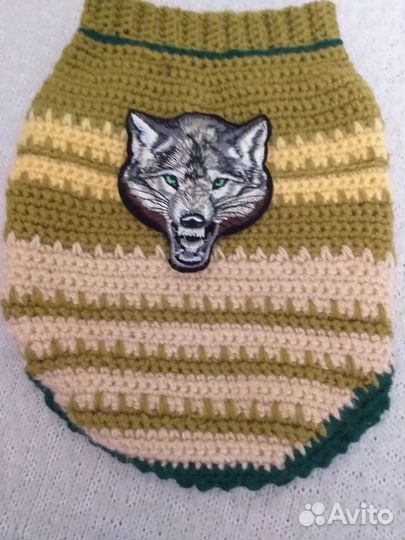 Одежда для собак