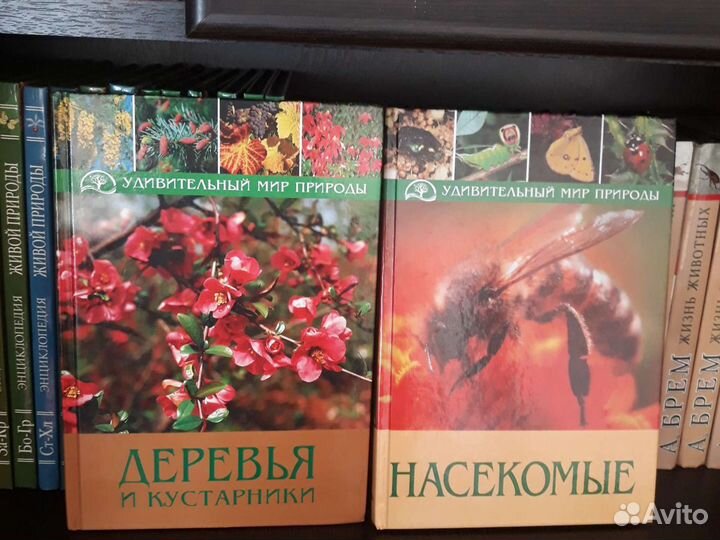 Книги разные