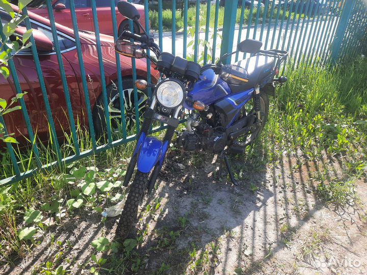 Alpha Forester/Hunter