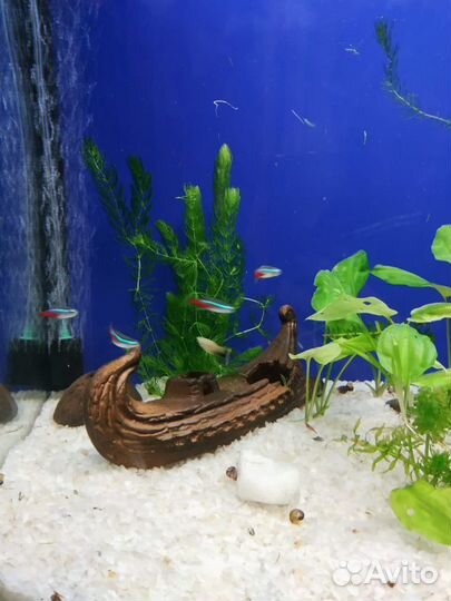 Грунт для Аквариума - Кварцевый песок