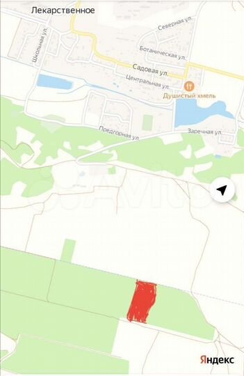 Участок 70 сот. (СНТ, ДНП)