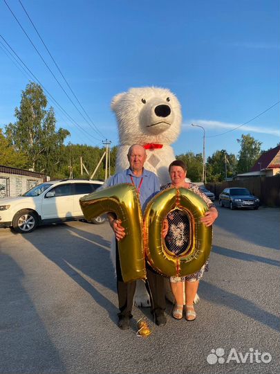 Медведь Тима и Зайка Милашка Тюмень