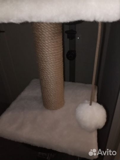 Когтеточка для котят новая