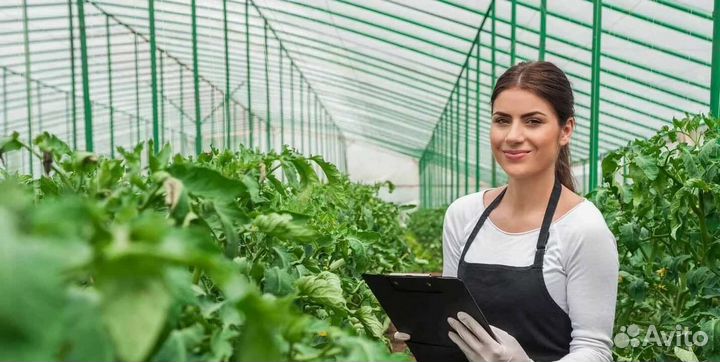 Трава покос