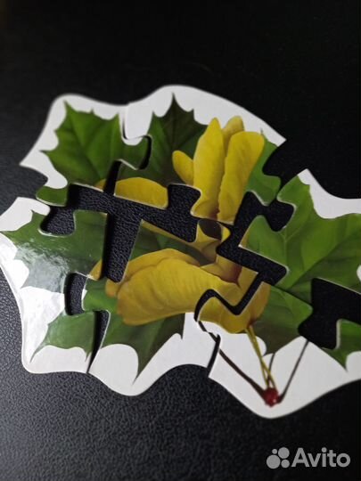 Развивающие игры