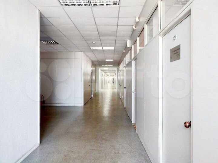 Сдам офисы: 37, 54, 64 кв.м