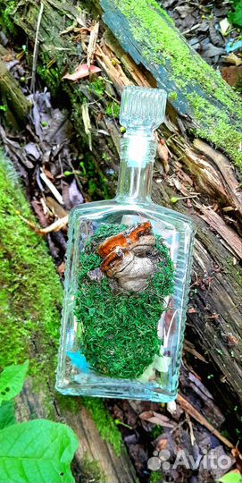 Денежная ведьмина бутылка