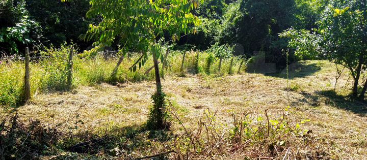 Участок 5 сот. (ИЖС)