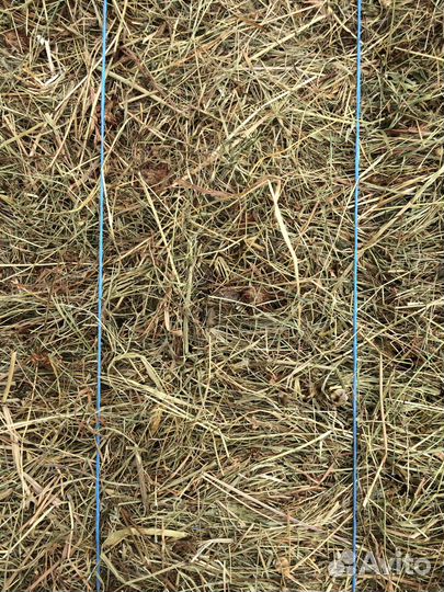 Сено в тюках для Декора, Животных и Мульчирования