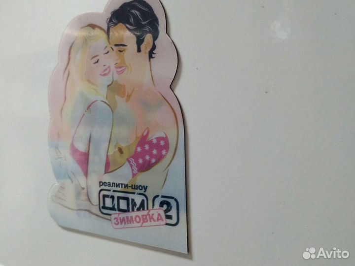 Дом 2 сувенир