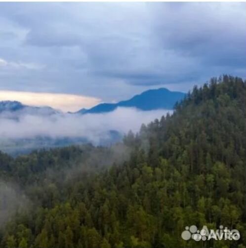 17авг24 Тур «Алтайская кругосветка» /рэ3011