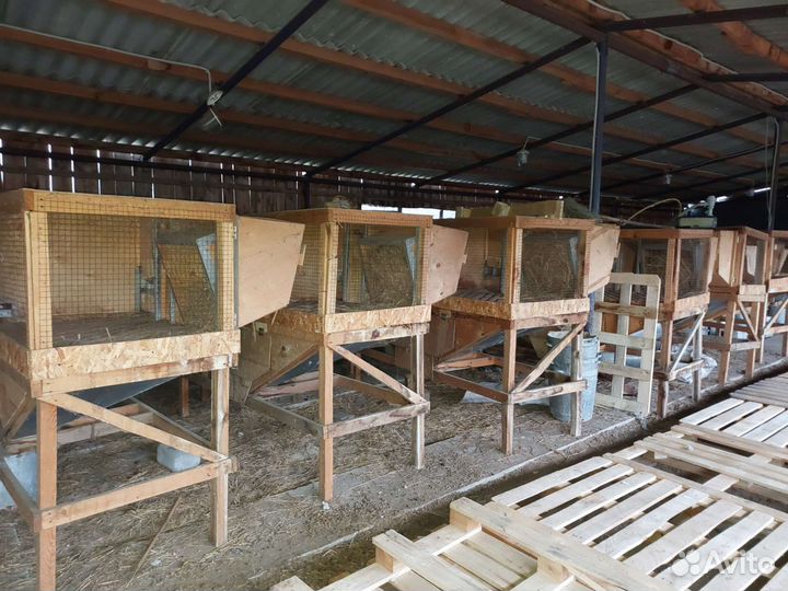 Клетки для кроликов бу