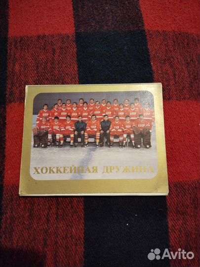 Хоккейная дружина