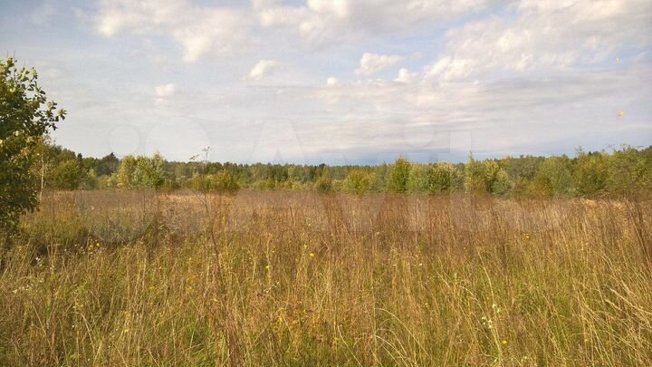 Участок 10 сот. (СНТ, ДНП)