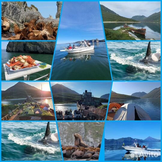 Морские экскурсии каждый день.Рыбалка.Крабалка