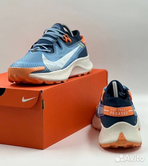 Кроссовки мужские Nike Pegasus Trail 2