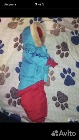 Одежда для собак зимняя