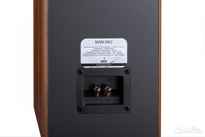 Напольная акустика Davis Acoustics Dhavani MK2 wal