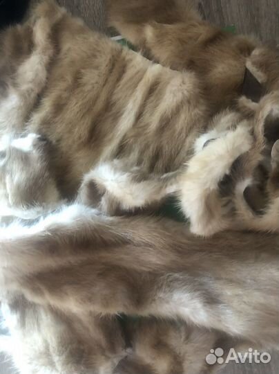 Кусочки меха норки