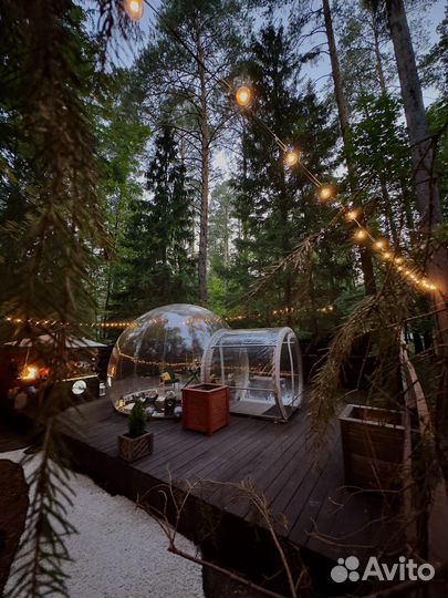 Романтический ужин в лесу