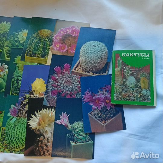2 Набора открыток Кактусы и набор Овощи