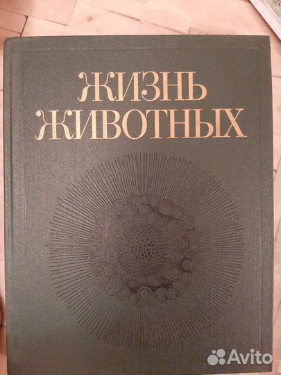 Жизнь животных энциклопедия