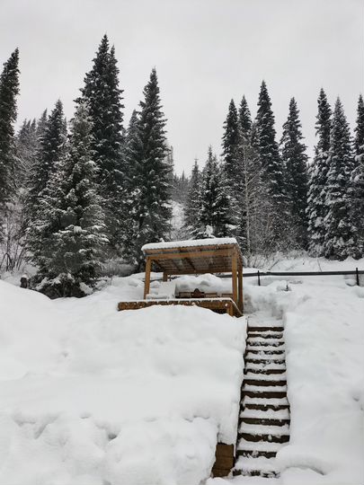 Дом 55 м² на участке 15 сот.