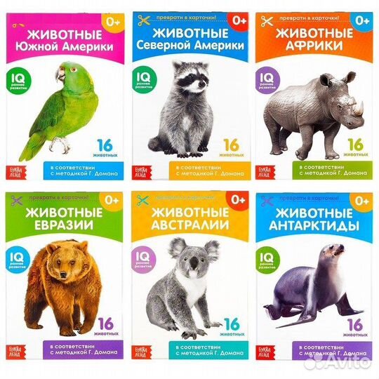 Обучающие карточки Домана