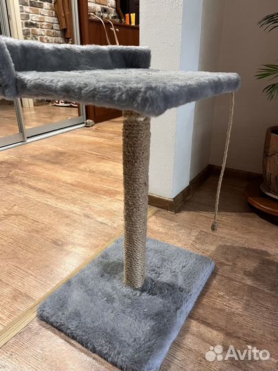 Когтеточка