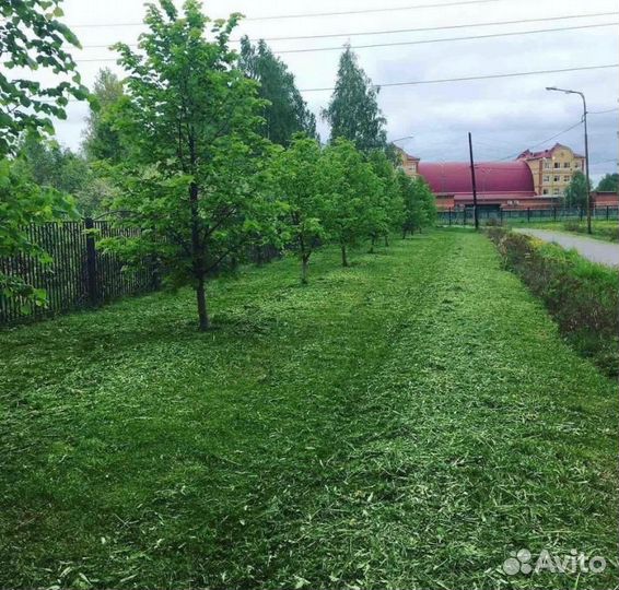 Покос травы триммером