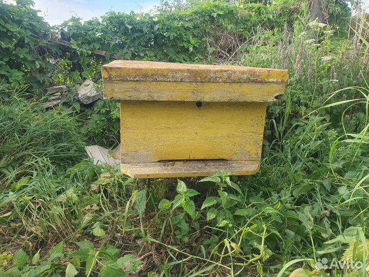 Пчелосемья с ульем